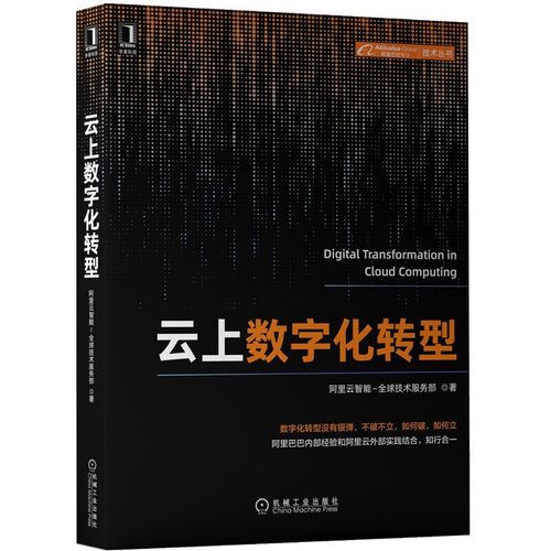 云上数字化转型 阿里云智能技术服务部 著 企业管理 数字化 研究 中国